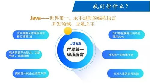 提前招生專業 計算機與軟件學院計算機軟件開發